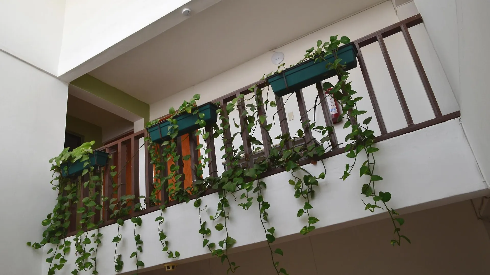 Hotel San Agustin Queretaro